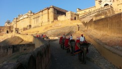 3-1. Fort Amber. Dzhajpur